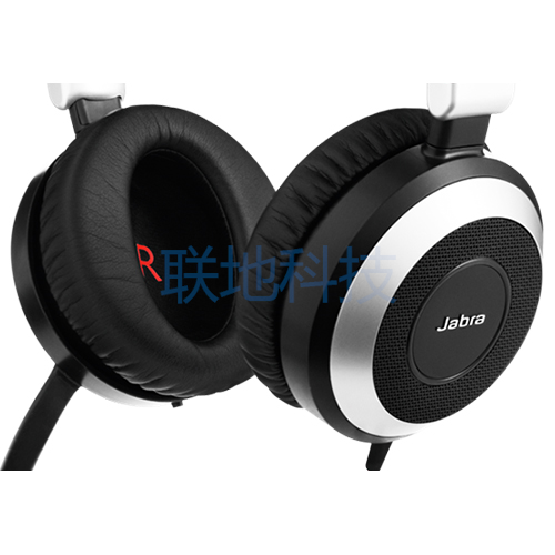 Jabra Evolve 80